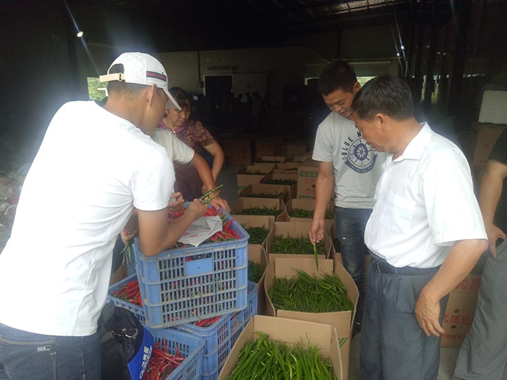 首页- 尊龙集团中国官方网站