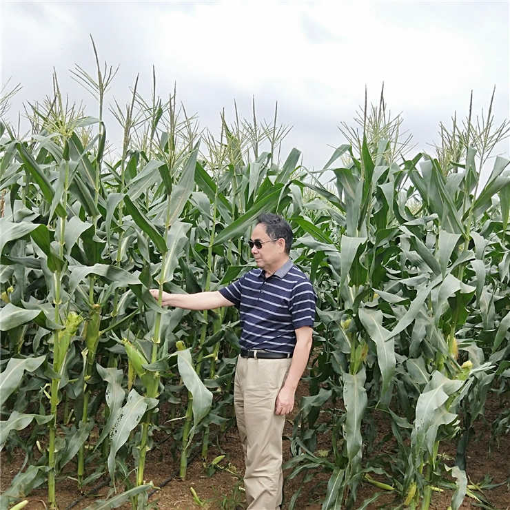 首页- 尊龙集团中国官方网站