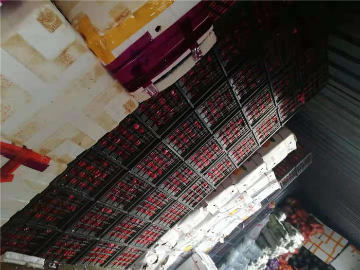 首页- 尊龙集团中国官方网站