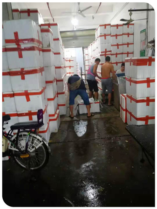 首页- 尊龙集团中国官方网站