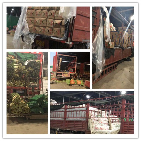 首页- 尊龙集团中国官方网站