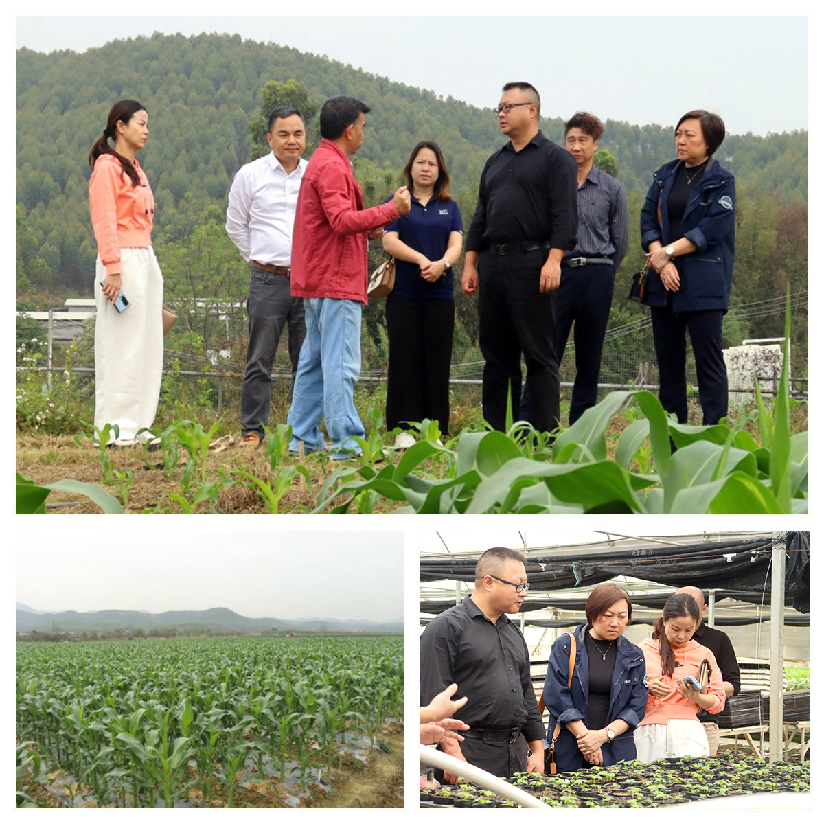 首页- 尊龙集团中国官方网站