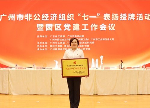 标杆引领，荣誉升级！集团党支部荣膺广州市非公有造经济组织“双强六好”标