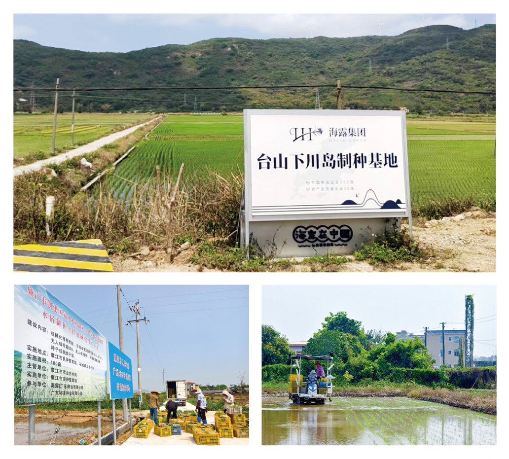 首页- 尊龙集团中国官方网站